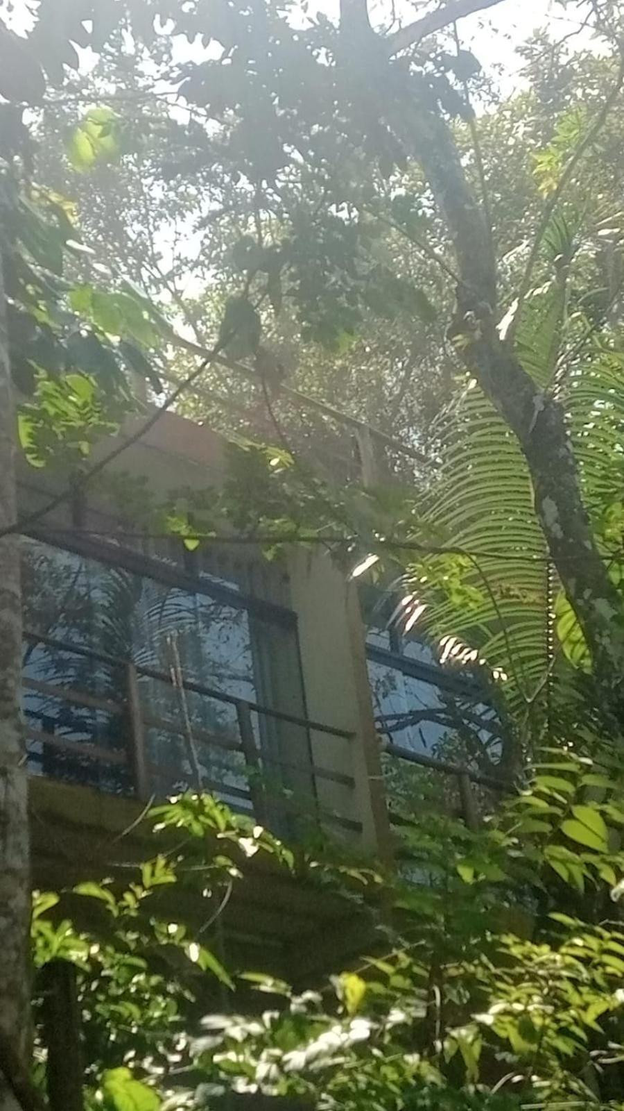 Altar Da Praia Vermelha 180° De Vista Para O Mar Ubatuba Zewnętrze zdjęcie